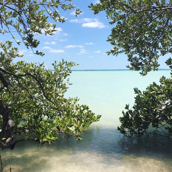 Meet your Posher, Melanie - Picture 1 of 1